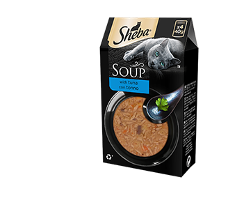 Sheba Soup