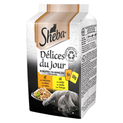 SHEBA® Délices du Jour Tacchino e Pollo in gelatina   image