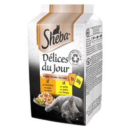 SHEBA® Délices du Jour Pollo e Tacchino in Salsa  image