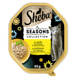 SHEBA® Seasons Collection in Salsa con Pollo e asparagi image