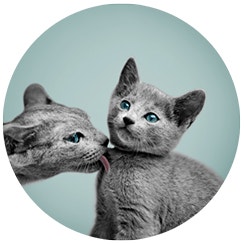 Realizzato solo con ingredienti di prima scelta