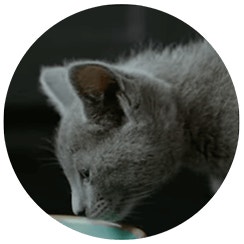 Perfetto per le piccole bocche