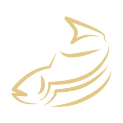 Le nostre iniziative