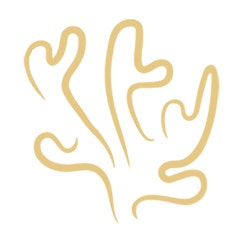 Ripristino delle barriere coralline