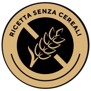 Ricetta senza cereali