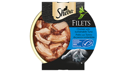 Filets list image