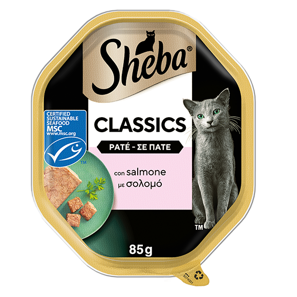 image classicsalmone50743017373146