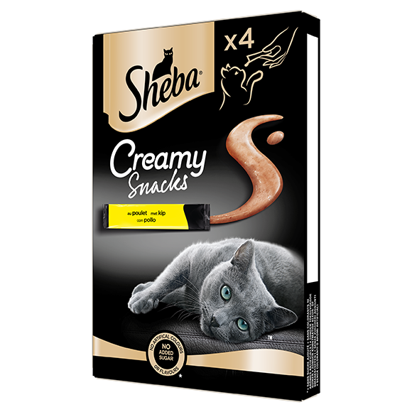 image creamy-pollo