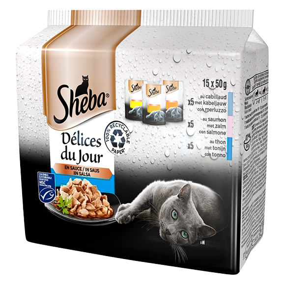 image delices-du-jour-15x50g-in-salsa-merluzzo-salmone-tonno