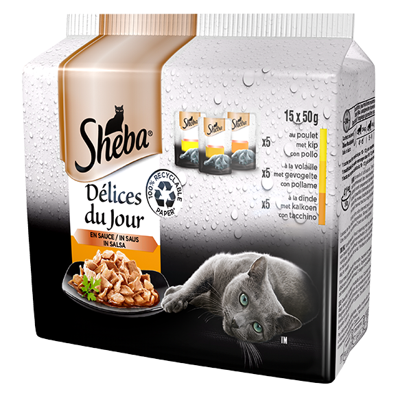 image delices-du-jour-15x50g-in-salsa-pollo-pollame-tacchino