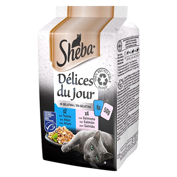 image delices-du-jour-6x50g-in-gelatina-tonno-salmone