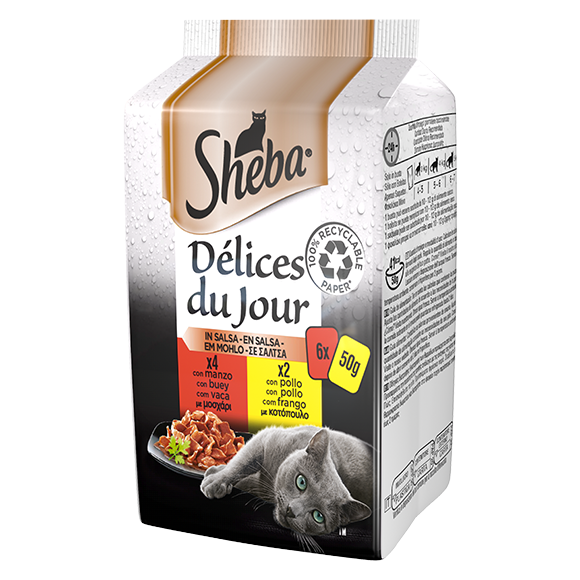 image delices-du-jour-6x50g-in-salsa-manzo-pollo