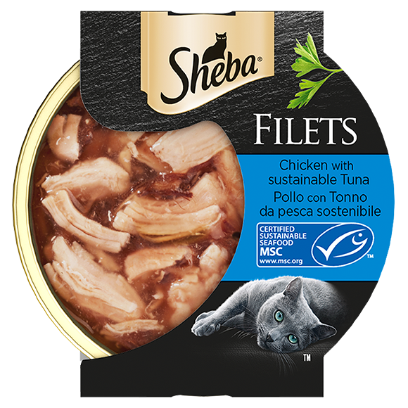 image filets-pollo-con-tonno-da-pesca-sostenibile-60g