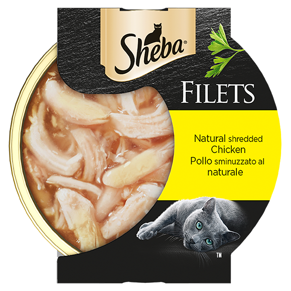 image filets-pollo-sminuzzato-al-naturale-60g