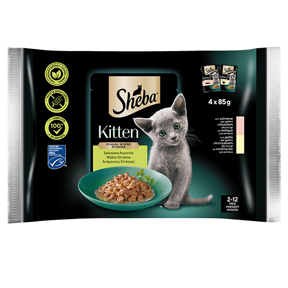image kittenselzioneassortita4x85gr4034311075076840