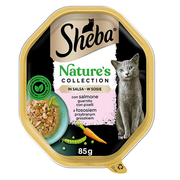 image nccon-salmone-e-piselli-50743617387471