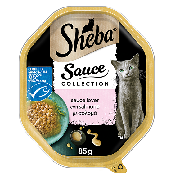 image sauce-con-salmone-50743687373191