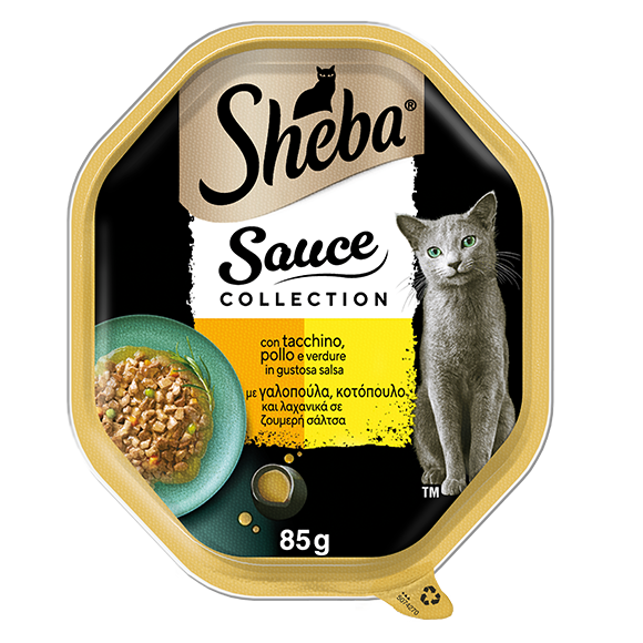 image saucecoll-con-tacchino-pollo-e-verdure50742707386383