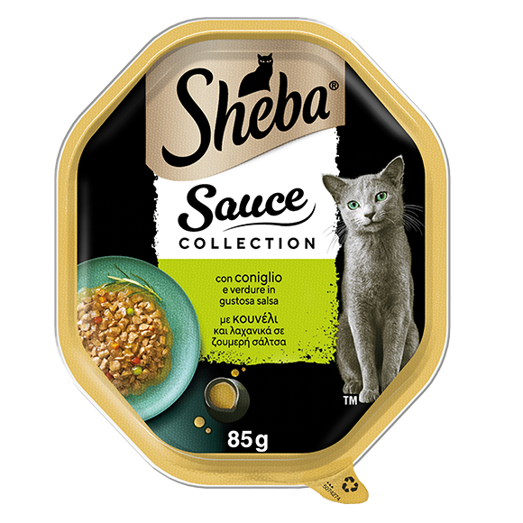 image saucecoll-coniglio-e-verdure-50742747386435