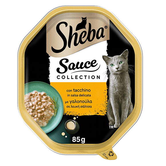 image saucecollcon-tacchino-50743087386658