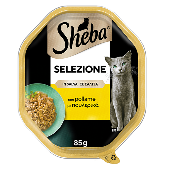image selezione-in-salsa-con-pollame-50742787386454