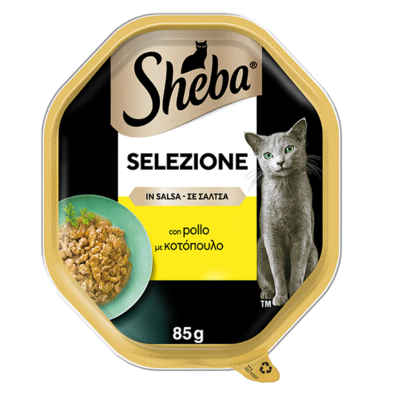 image selezione-in-salsa-con-pollo-50743377386823