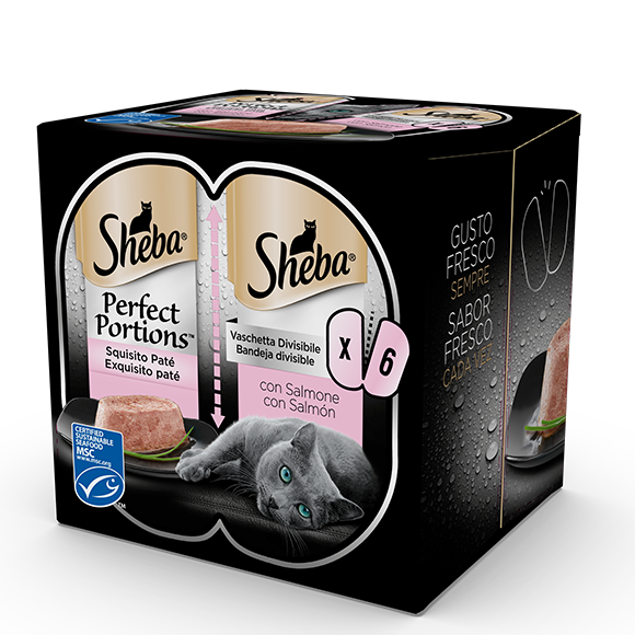 image she-perfect-portions-salmone