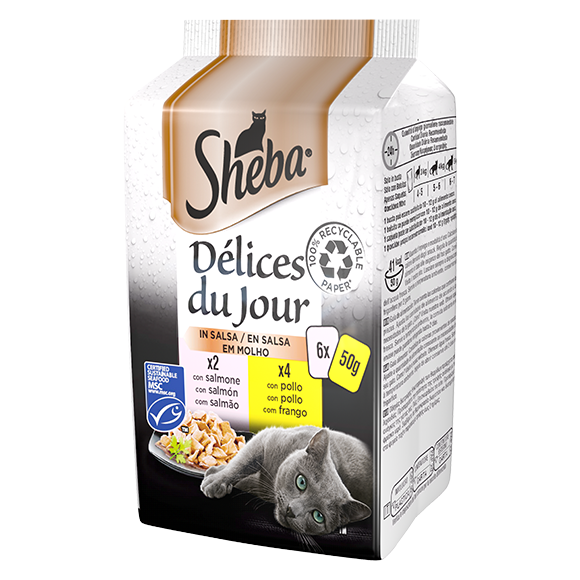 image delices-du-jour-6x50g-in-salsa-salmone-pollo