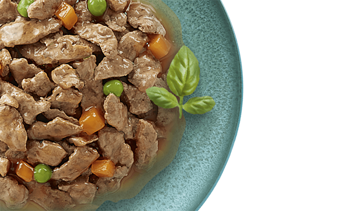 Buon cibo, in tutti I sensi