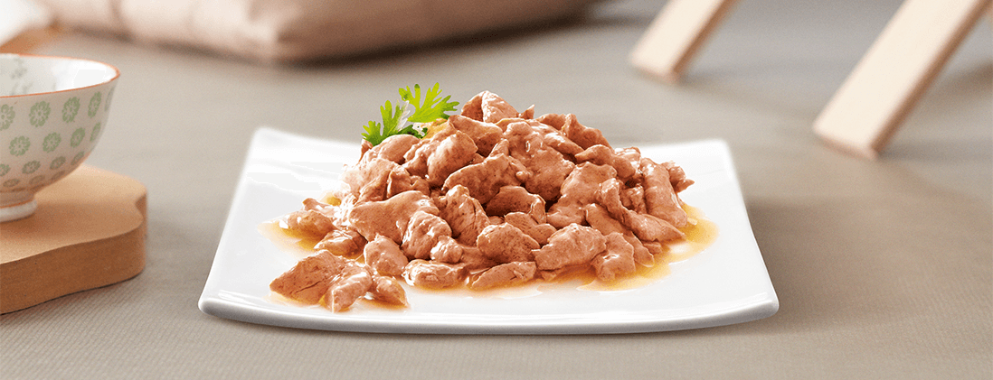 Piatto Sheba