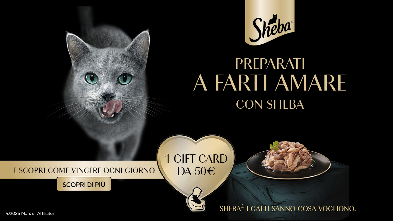 banner with campaign logo