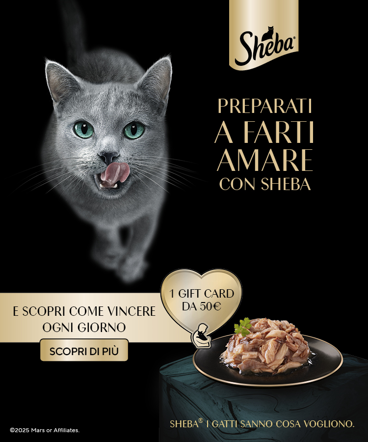 banner with campaign logo