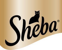 Sheba IT